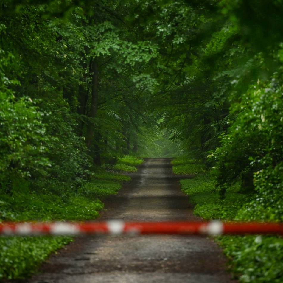 Geplante Windräder im Reichswald: Kampf gegen Windkraft – Niederländer rüsten sich für Klagen