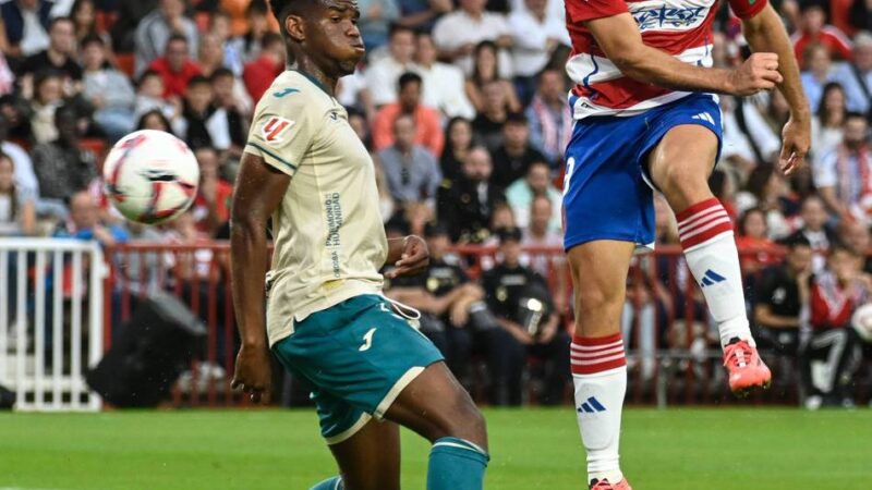 Nach Fan-Aufruhr und Aufsichtsrats-Veto: Fortuna entscheidet sich gegen Verpflichtung von Shon Weissman