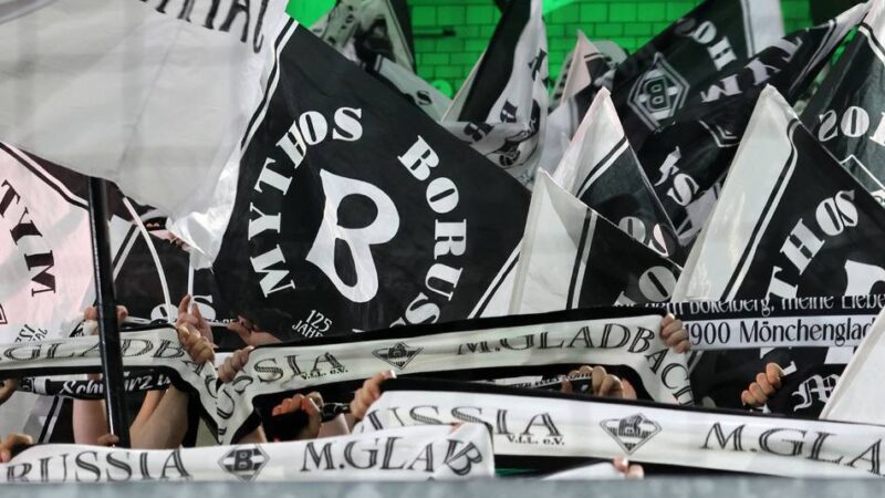 Borussia-Barometer: Ihre Meinung zu den wichtigsten Gladbach-Themen vor dem Ligastart