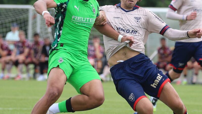 Regionalliga-Saison läuft: So präsentieren sich die externen Zugänge in Borussias U23