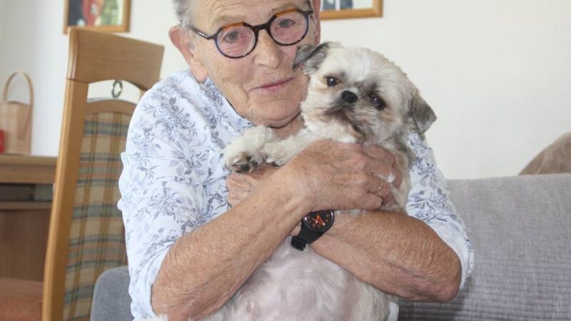 Nettetalerin lebt mit einem Hund mit Behinderung: Wenn der Hund blind ist