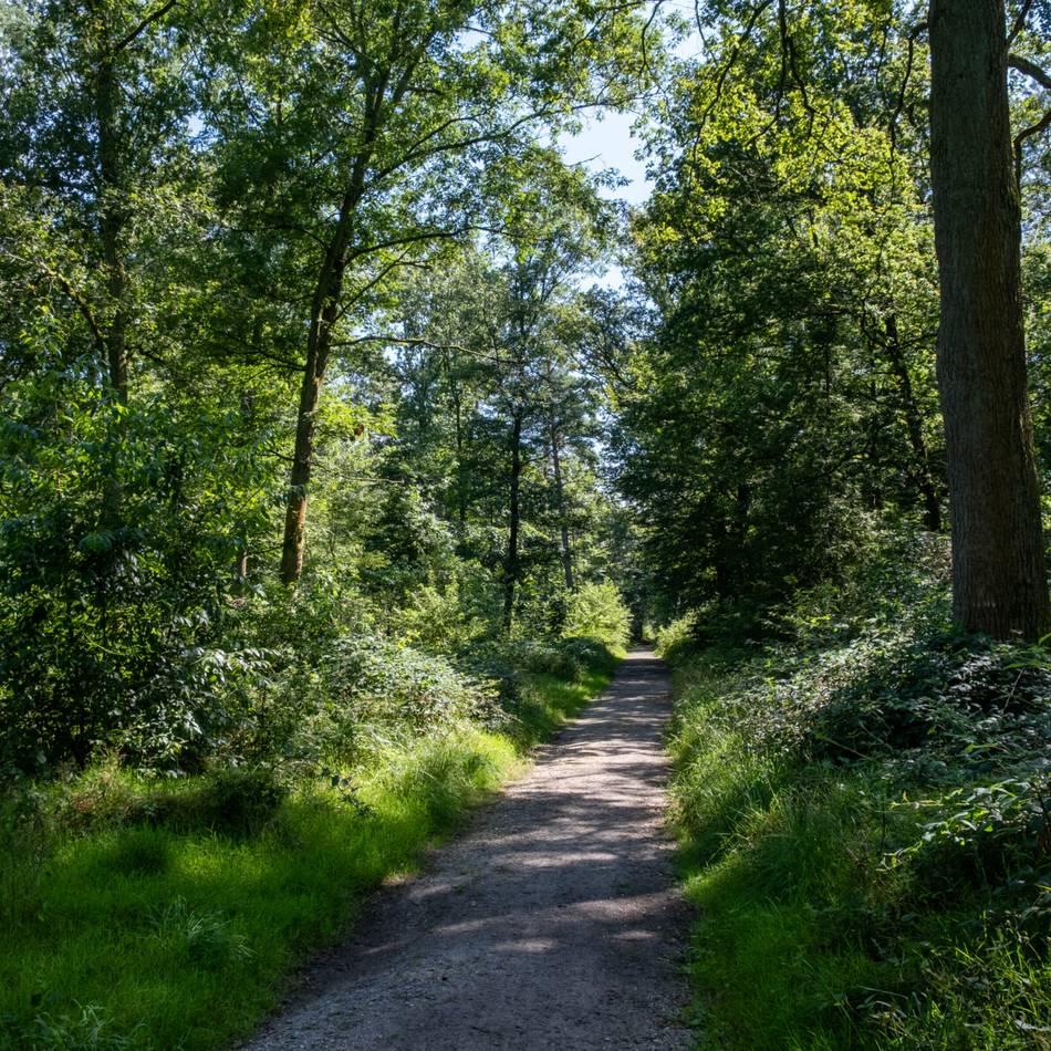80 Kräfte im Einsatz: Großübung der Feuerwehr im Hardter Wald