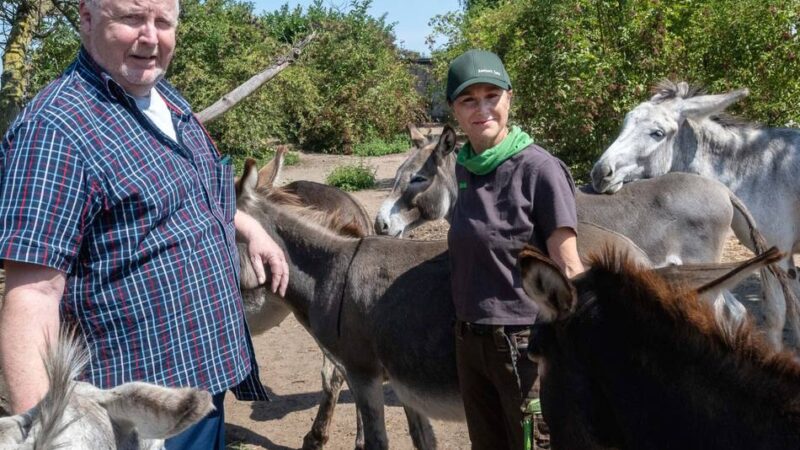 Auszeichnung für Engagement: „Esel-Eltern“ erhalten Verdienstorden des Landes