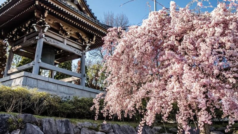 Düsseldorf und Japan: Samurai-Kultur im Eko-Haus