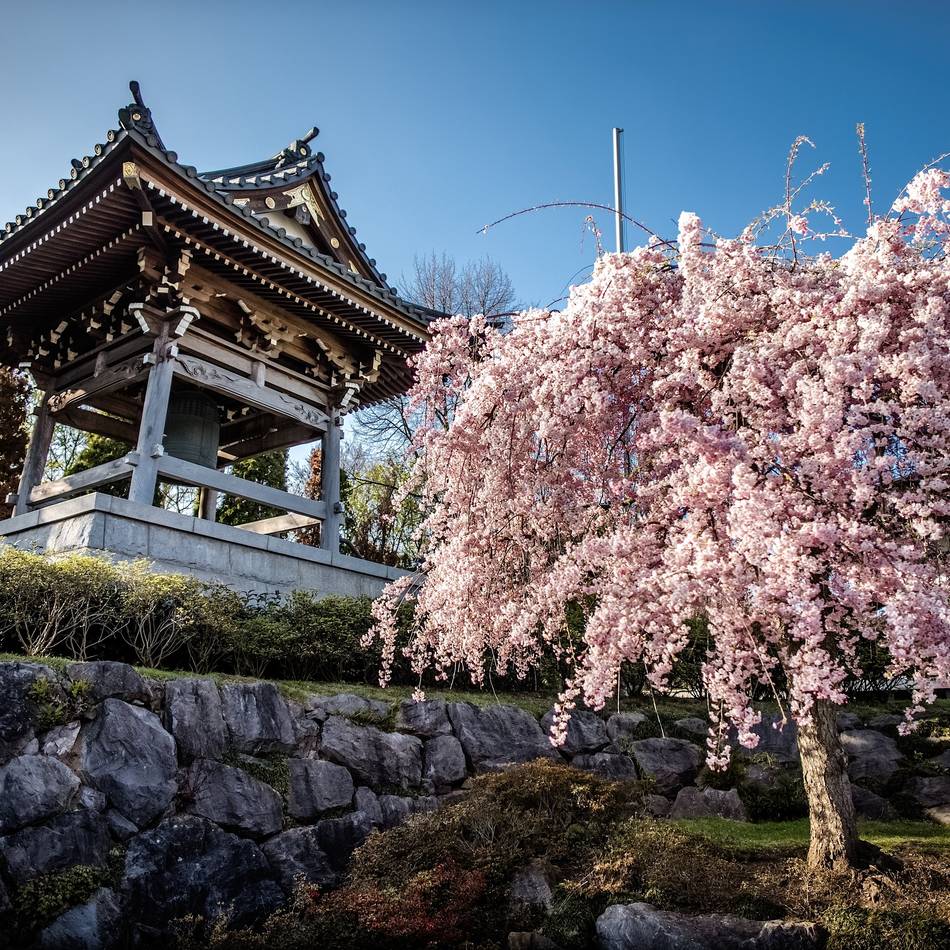 Düsseldorf und Japan: Samurai-Kultur im Eko-Haus