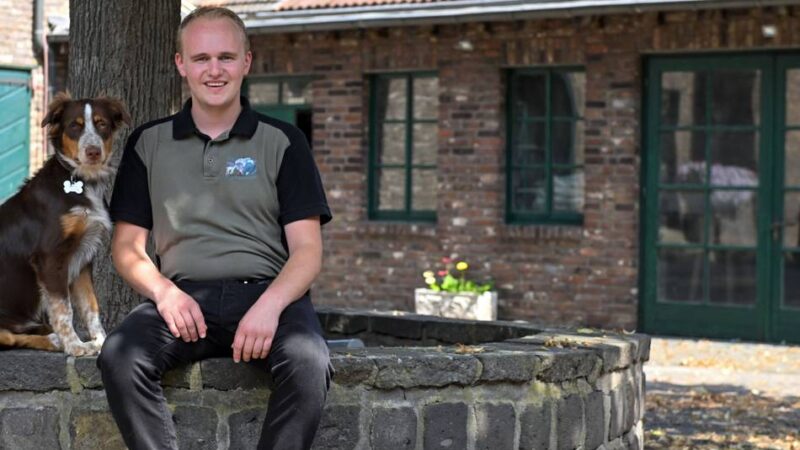 Gestüt in Holderberg: Wiesenhof will mit Gastronomie durchstarten – das ist geplant