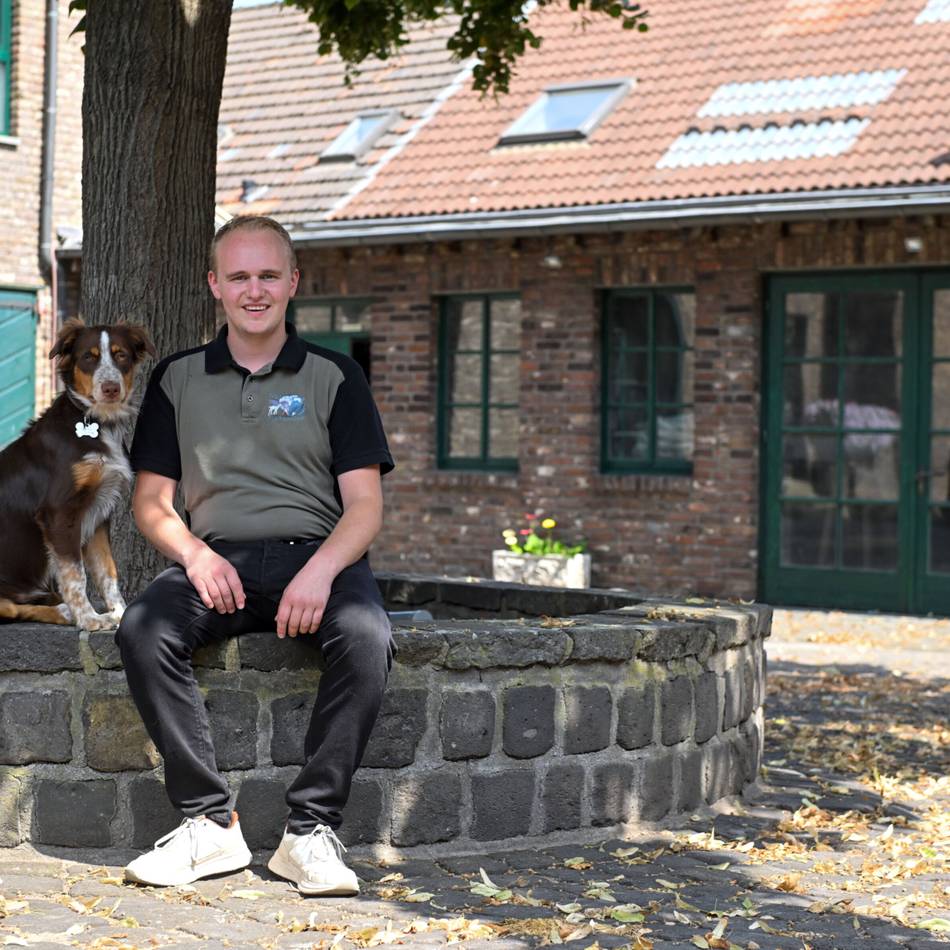 Gestüt in Holderberg: Wiesenhof will mit Gastronomie durchstarten – das ist geplant