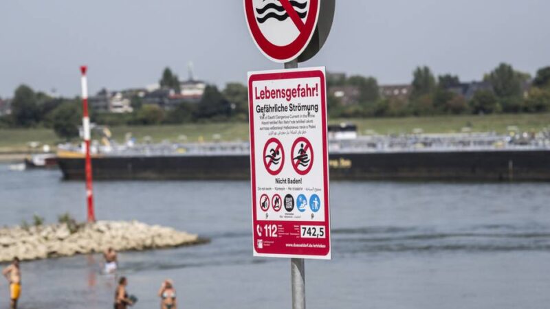 Düsseldorf verbietet Schwimmen im Rhein: „Mit dem Verbot wird eine Welt zusammenbrechen“