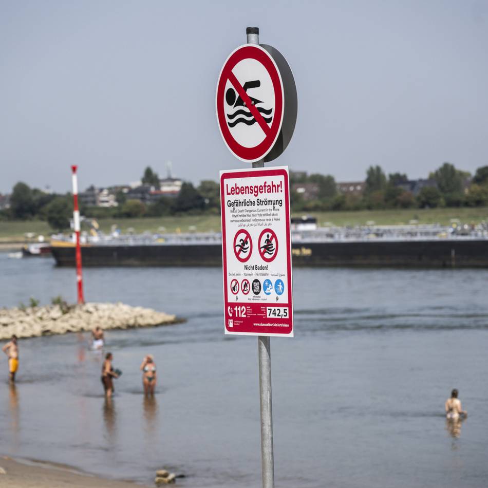Düsseldorf verbietet Schwimmen im Rhein: „Mit dem Verbot wird eine Welt zusammenbrechen“