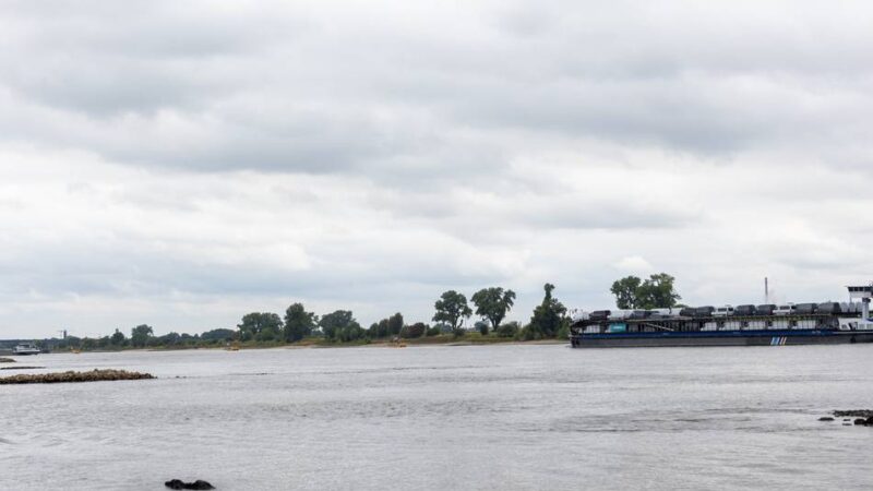 Nach Verbot in Düsseldorf: Rhein-Badeverbot soll auch in Krefeld kommen