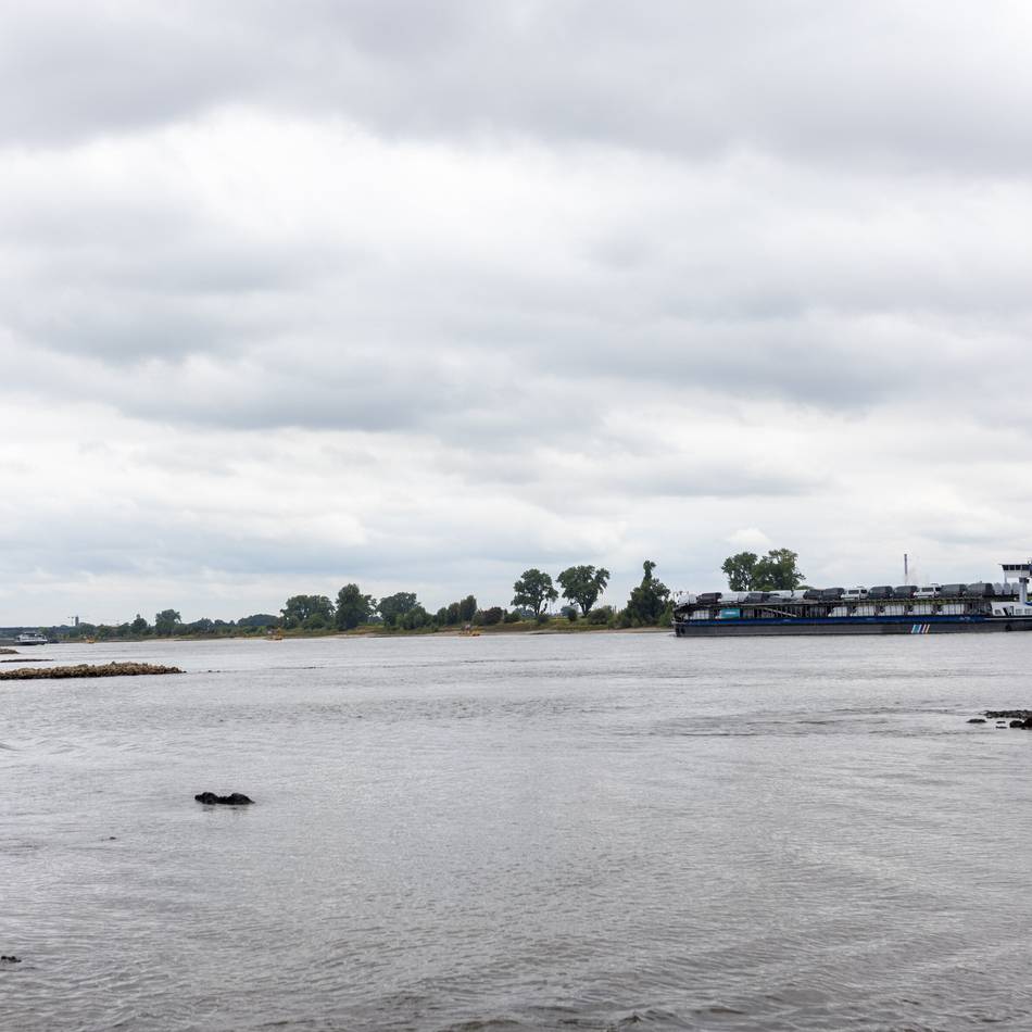 Nach Verbot in Düsseldorf: Rhein-Badeverbot soll auch in Krefeld kommen