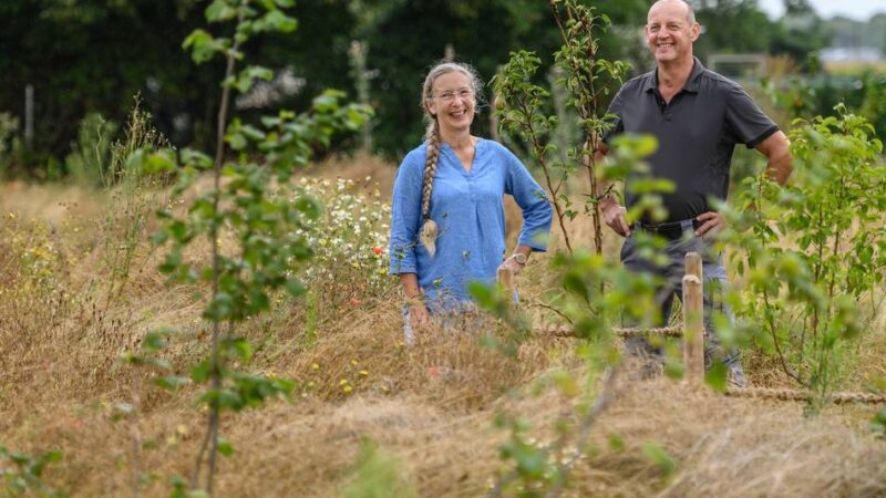 Future Food Forest in Keeken: So entsteht der erste „essbare“ Wald in Kleve