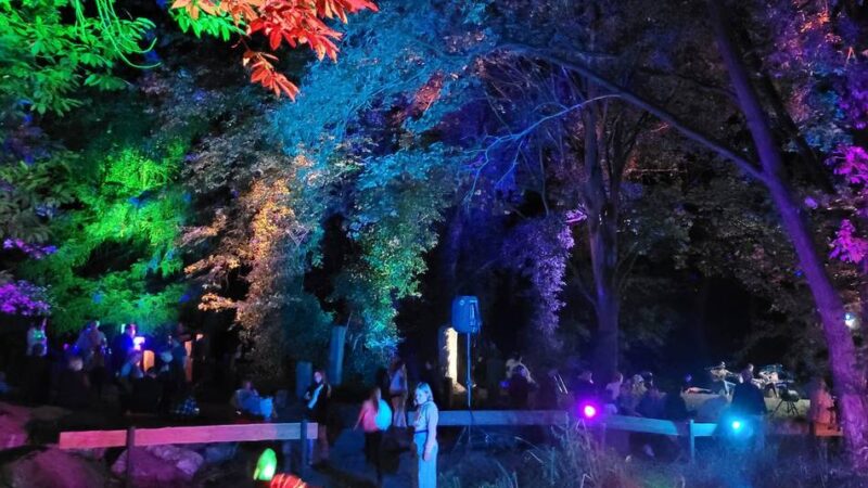 Veranstaltung in Dormagen: Lichternacht im Geopark