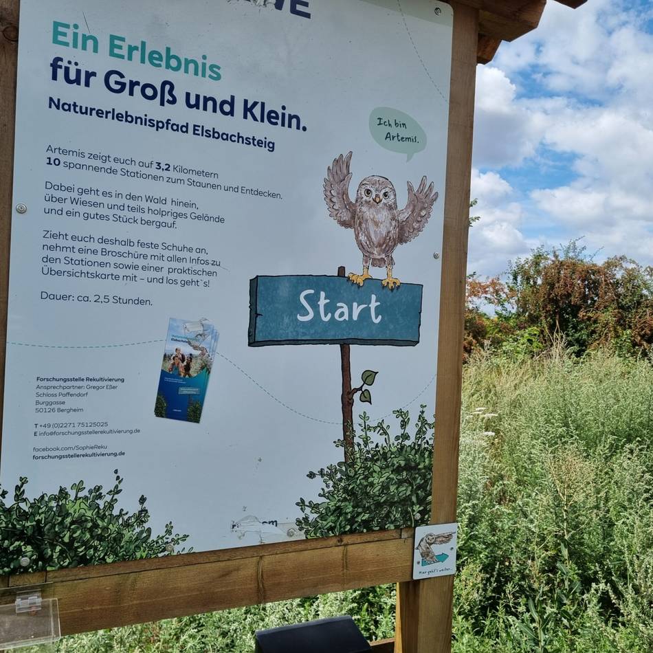 Unterwegs auf Wanderweg bei Grevenbroich: Was der Elsbachsteig zu bieten hat