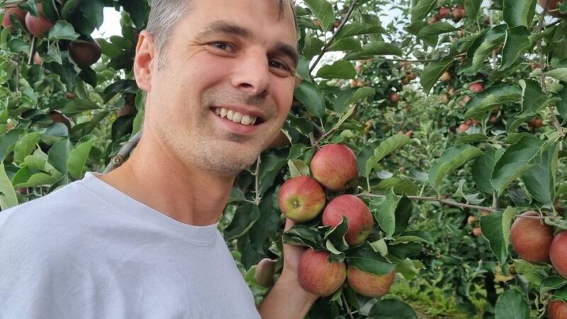 Erntezeit in Jüchen: Der Apfel kommt, die Erdbeere geht