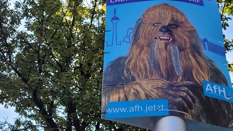 „Chewy für Düsseldorf“: Werbung wie ein Wahlplakat – Ordnungsamt geht gegen Aktion auf der Königsallee vor