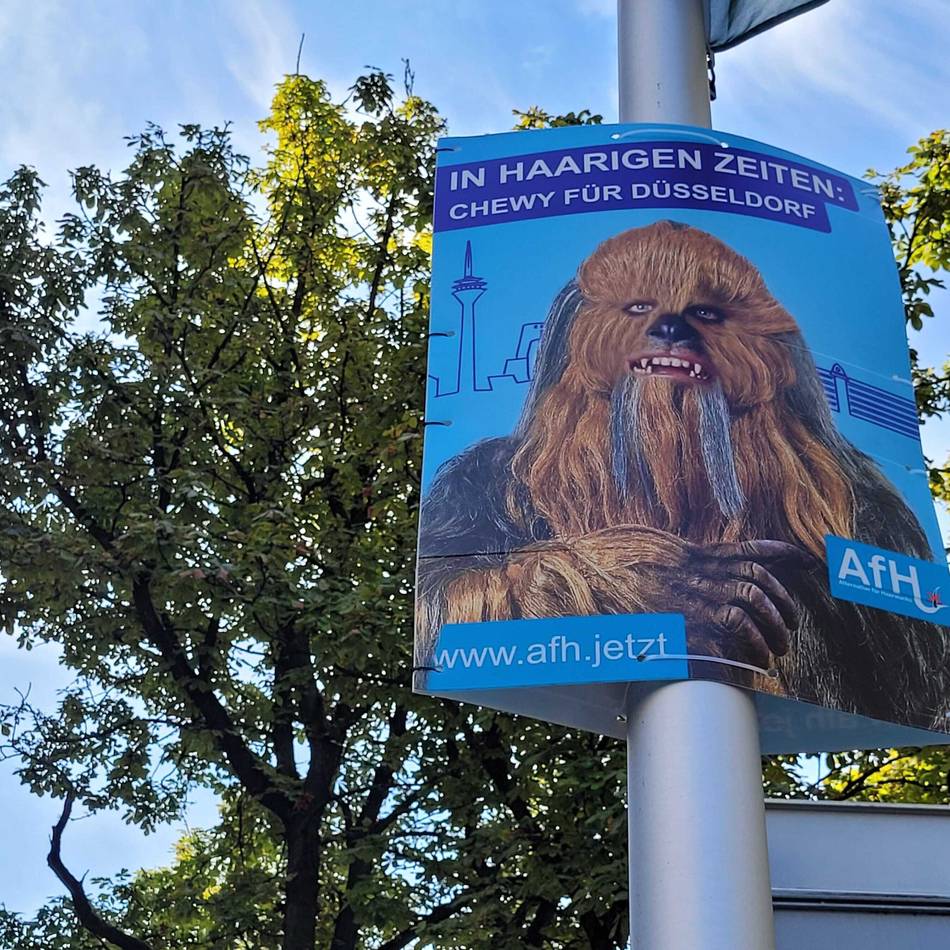 „Chewy für Düsseldorf“: Werbung wie ein Wahlplakat – Ordnungsamt geht gegen Aktion auf der Königsallee vor