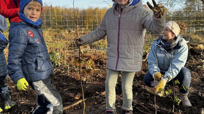 Mehr klimaresiliente Bäume für Hückeswagen: Stadt sucht Waldflächen für die nächste Aufforstungsaktion