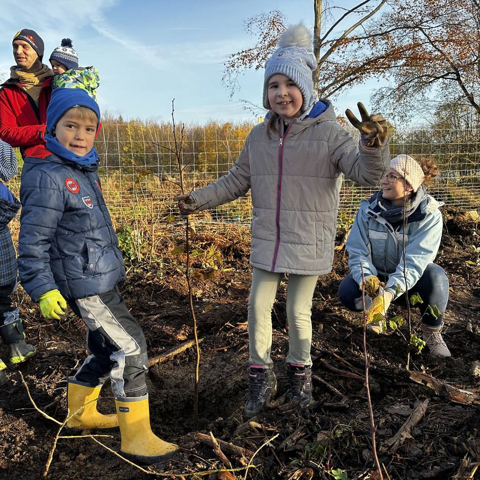 Mehr klimaresiliente Bäume für Hückeswagen: Stadt sucht Waldflächen für die nächste Aufforstungsaktion