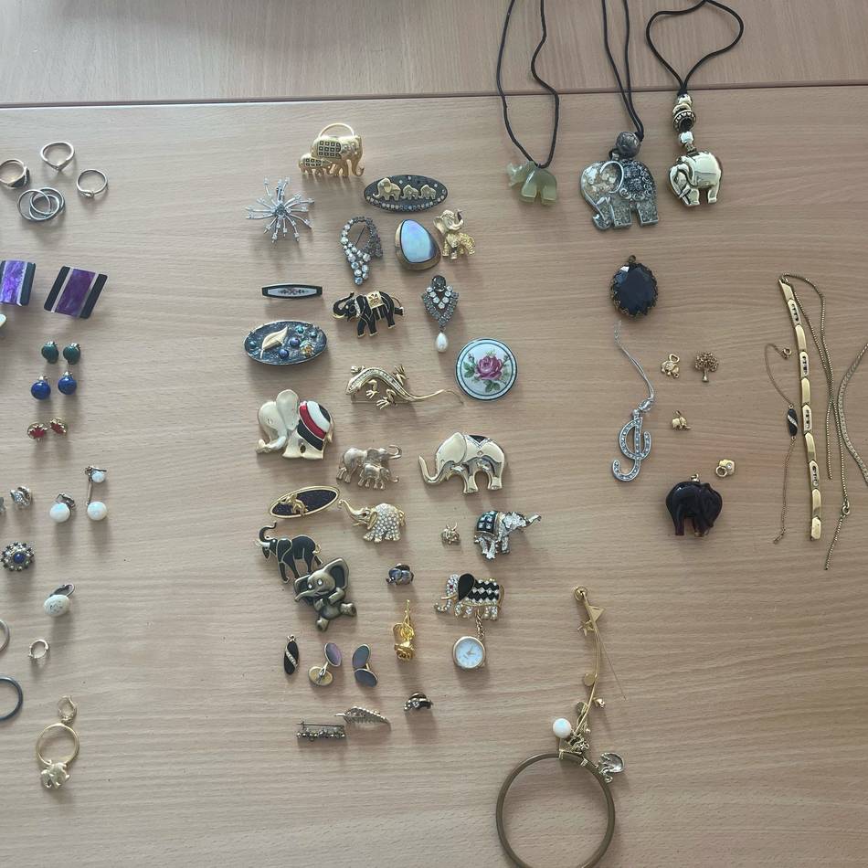 Ringe, Armbänder, Ketten und Ohrringe: Spaziergänger findet Schmuckkästchen unter Parkbank