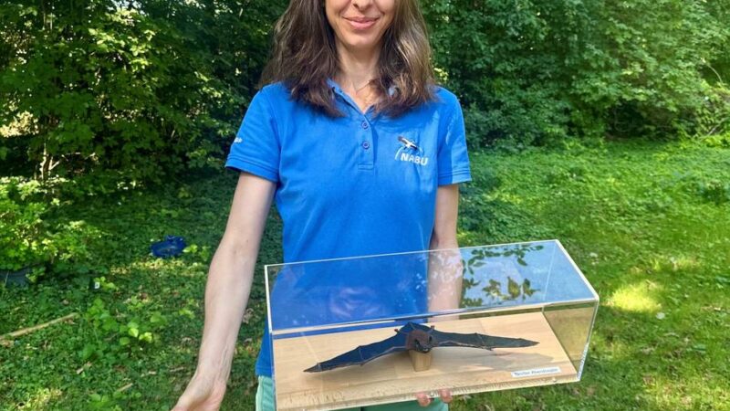 Wildtiere in Meerbusch: Wo die Fledermaus noch heimisch ist