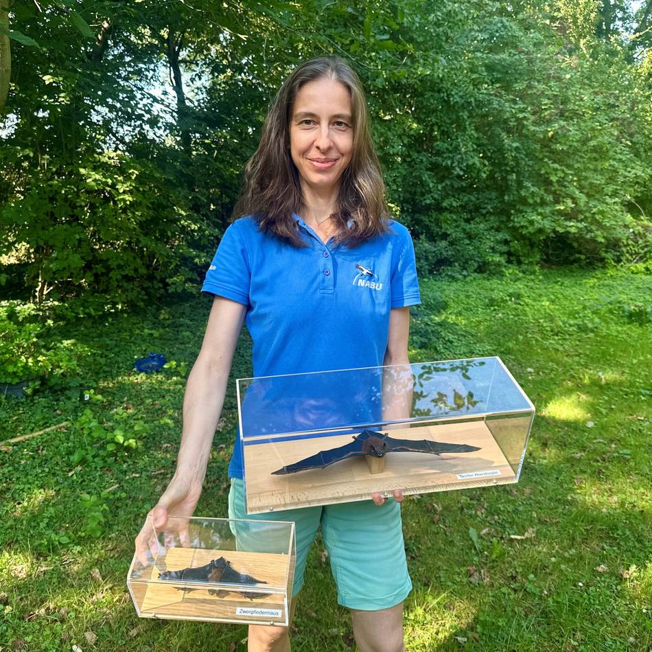 Wildtiere in Meerbusch: Wo die Fledermaus noch heimisch ist