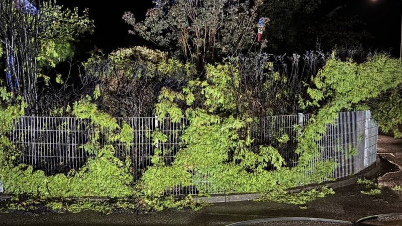 Feuerwehr Alpen im Einsatz: Hecke brennt am Menzelener Feld