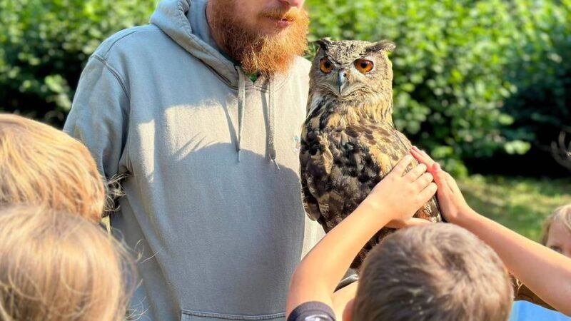 Ferienfreizeit in Grevenbroich: Kinder entdecken die Welt der Greifvögel