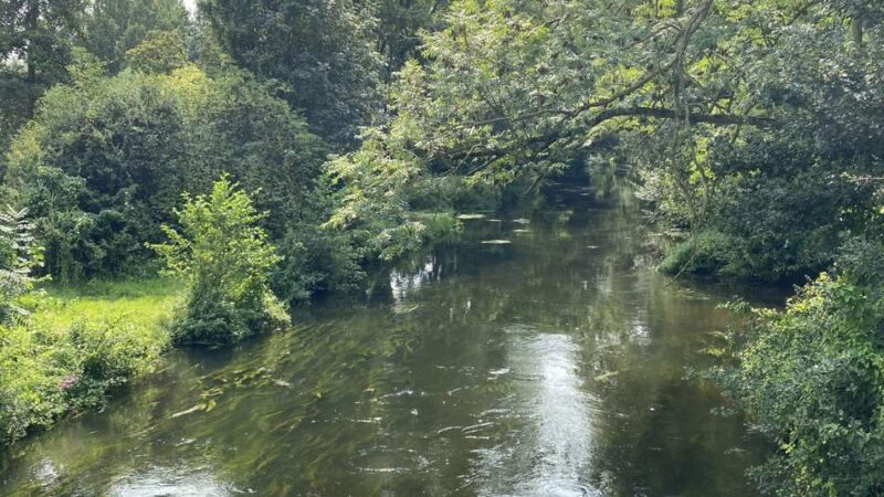 Verbrecher gehen in Geldern in die Falle: Betrüger stürzt auf der Flucht vor der Polizei in die Niers