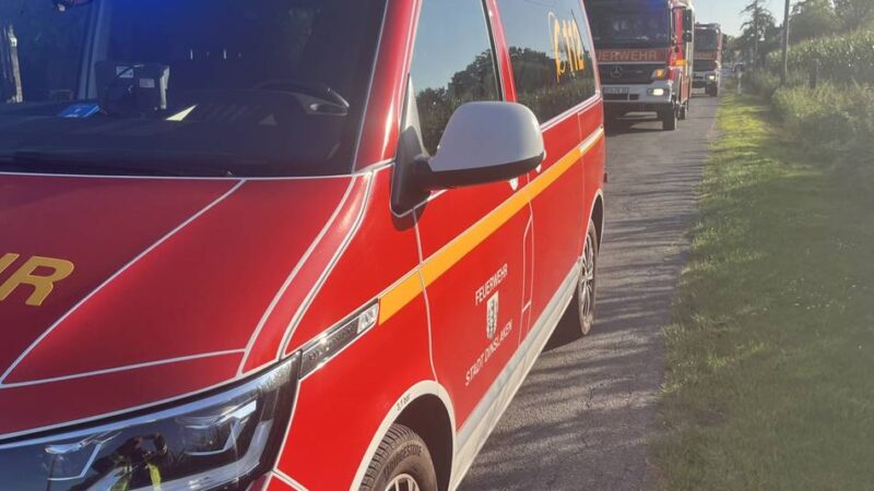 Feuerwehreinsatz in Dinslaken: Abflämmen von Unkraut löst Brand aus