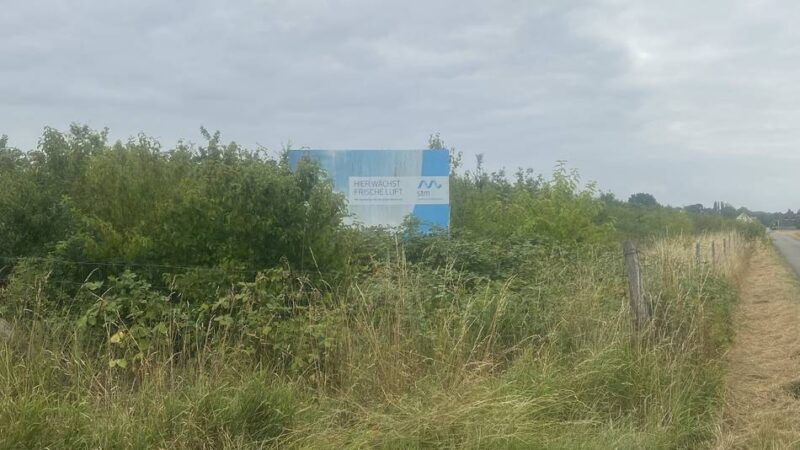 Umwelt in Meerbusch: Warum die Stadtwerke am Kalverdonksweg 14.000 Bäume pflanzten
