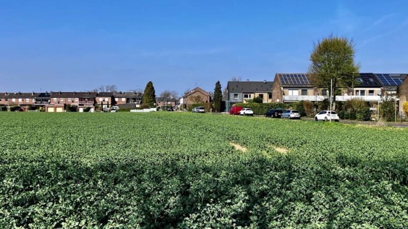 Wohnbauplanung in Moers: Kapellener fühlt sich von der Stadt „enteignet“