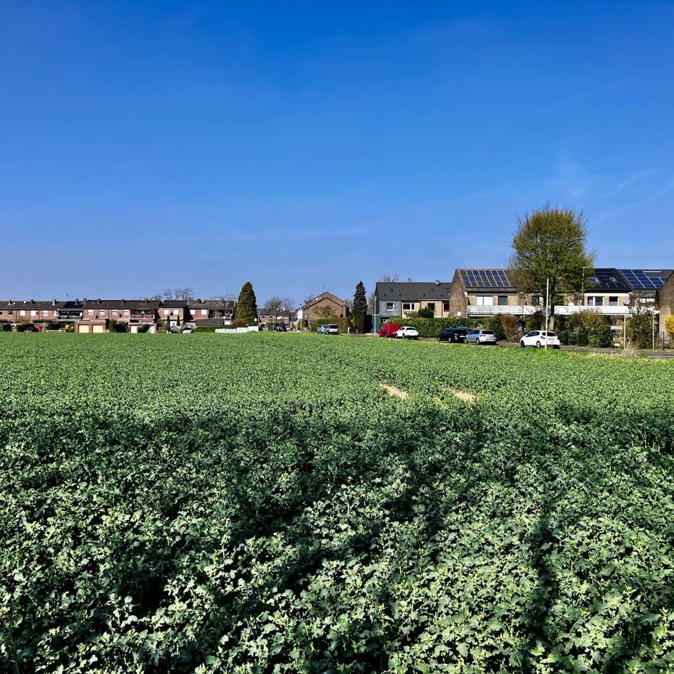 Wohnbauplanung in Moers: Kapellener fühlt sich von der Stadt „enteignet“