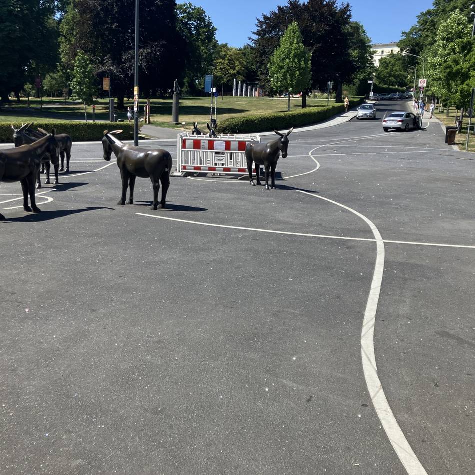 Eintritt frei: Ausstellung auf dem Sonnenhausplatz behandelt das Thema Recht im Alltag