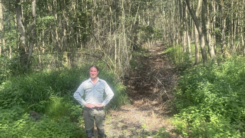 Natur in Meerbusch: „Der jetzige Wald wird in sehr großen Teilen sterben“