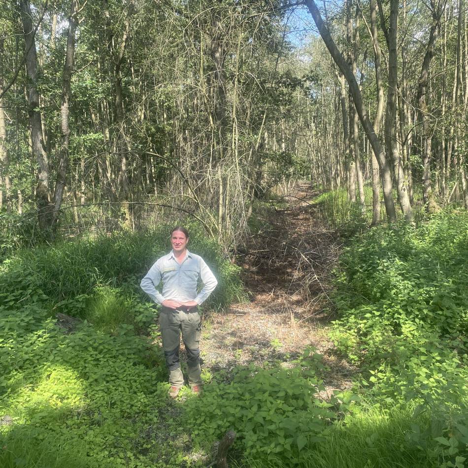 Natur in Meerbusch: „Der jetzige Wald wird in sehr großen Teilen sterben“