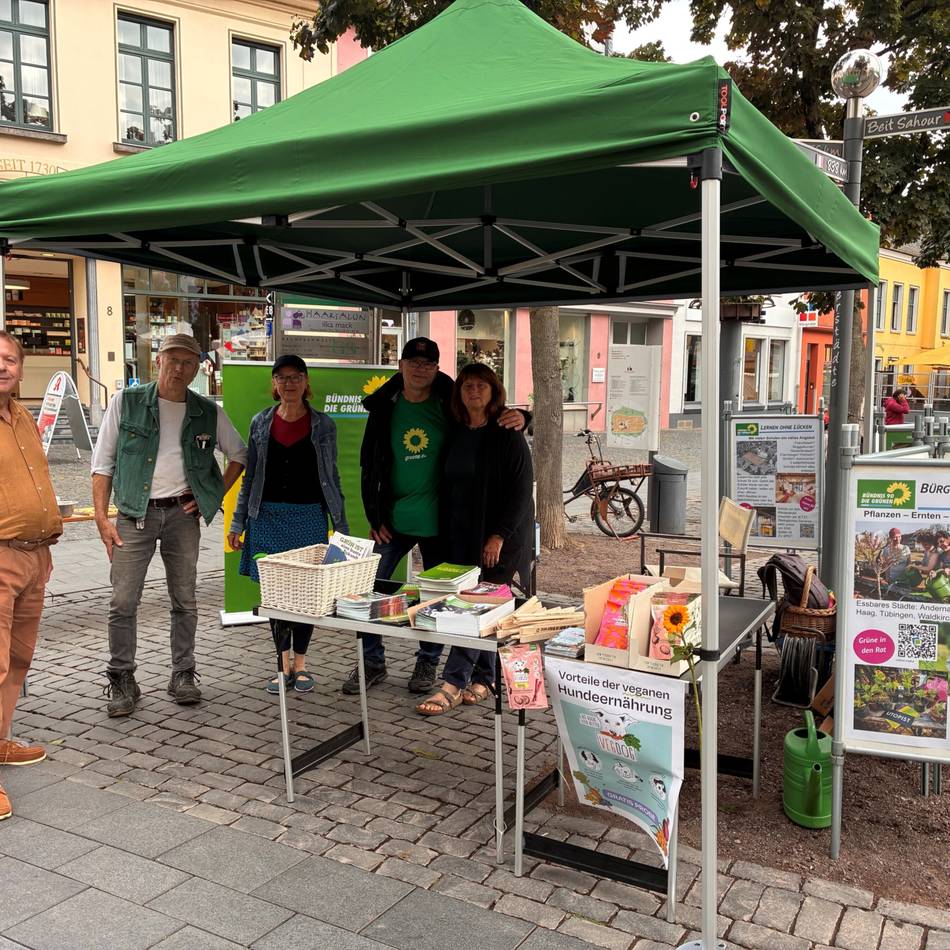 Kommunalwahl in Xanten: Grüne stellen ihr Wahlprogramm vor
