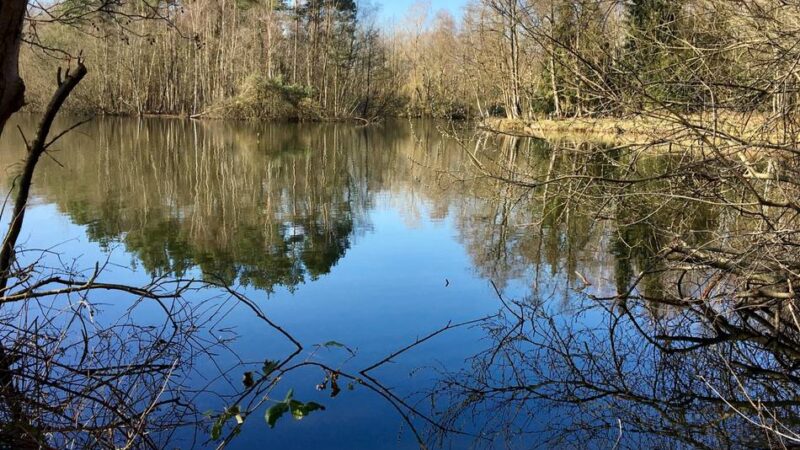 Ein Tag am See: Oebeler Bruch und Dahmensee: Verwechslungsgefahr: Oebeler Bruch und Dahmensee