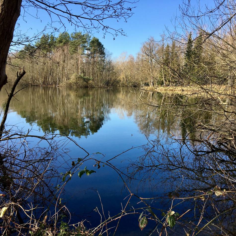 Ein Tag am See: Oebeler Bruch und Dahmensee: Verwechslungsgefahr: Oebeler Bruch und Dahmensee