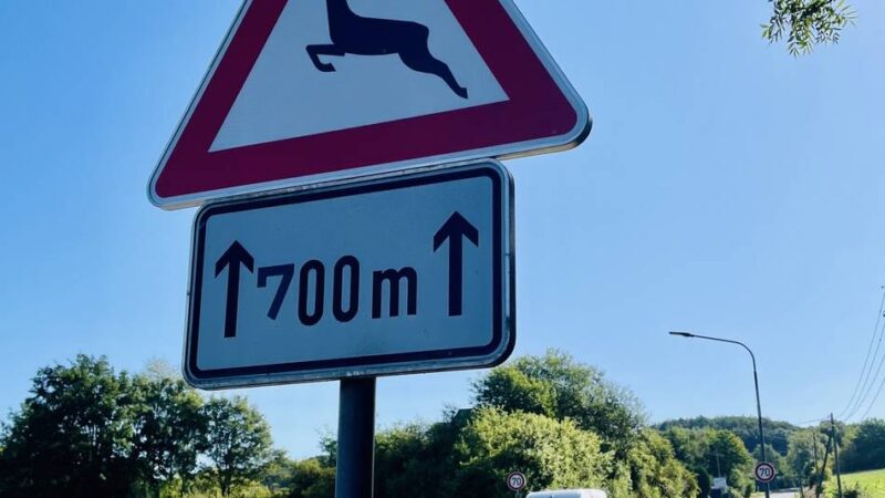 Bürgermonitor für Wermelskirchen und Solingen: In der Paarungszeit steigt die Wildunfallgefahr