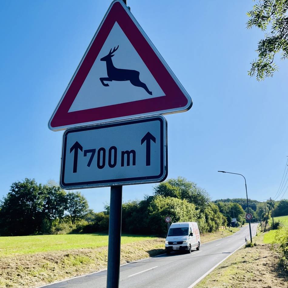 Bürgermonitor für Wermelskirchen und Solingen: In der Paarungszeit steigt die Wildunfallgefahr