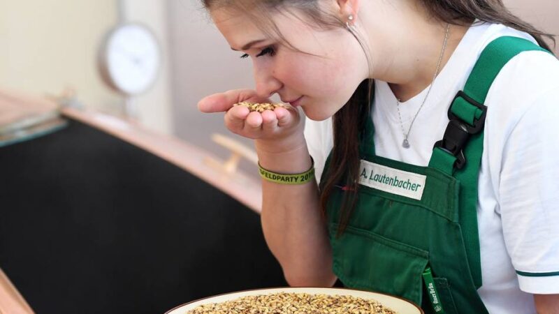 Ausbildung im Kreis Viersen: Zwölf ungewöhnliche Berufswege bei der IHK