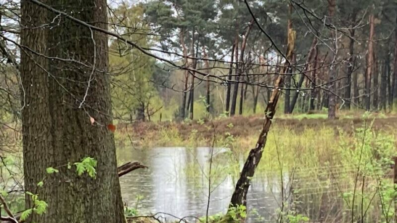 Fahrradtouren in Rheinberg: Picknick-Tour und Fahrt durch die Dingdener Heide