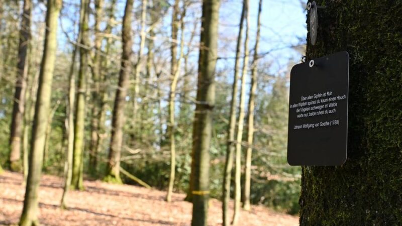 Friedwald in Hückeswagen: Baumauswahltag in Kleinhöhfeld