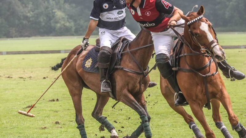 An diesem Wochenende in Düsseldorf: Internationales Polo-Turnier auf der Galopprennbahn