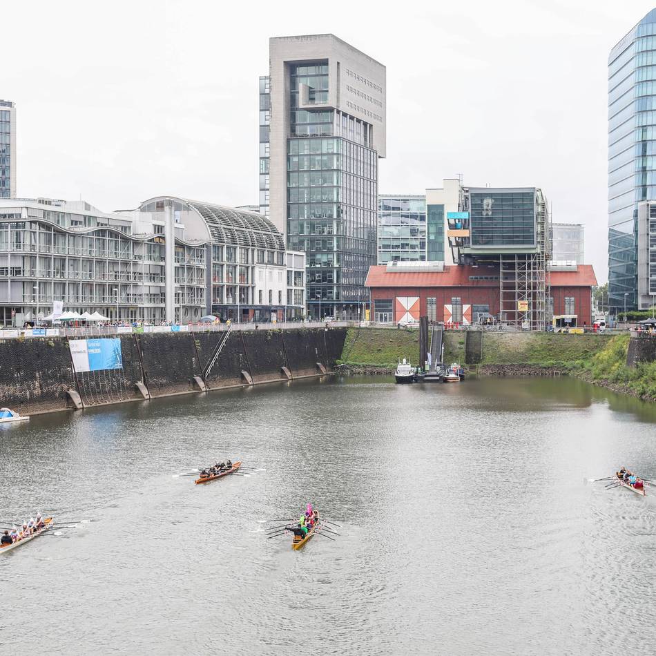 Benefiz-Regatta in Düsseldorf: Knapp 120 Teams rudern für den guten Zweck – Erlös unterstützt Menschen mit Krebs