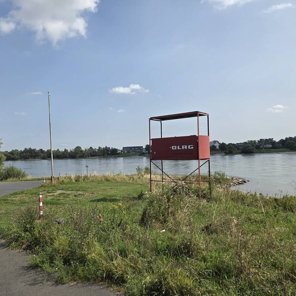 So reagieren Neusser auf geplantes Badeverbot im Rhein: „Jeder sollte selbst entscheiden können, ob er ins Wasser geht oder nicht“