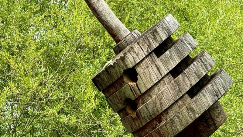 Vogel nistete sich in Stele ein: Kaarster Specht hat „sein“ Kunstwerk verlassen