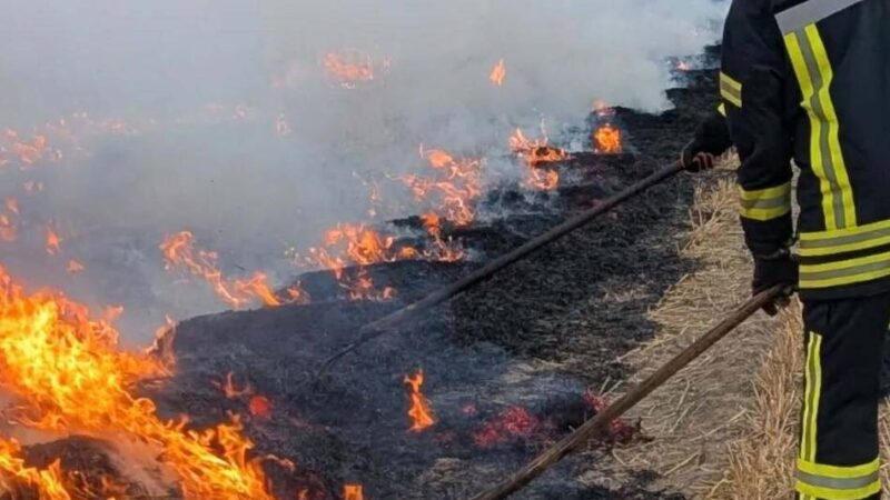 Zweithöchste Warnstufe beim Graslandfeuerindex im Kreis Mettmann: Das heiße Wetter verschärft die Waldbrandgefahr