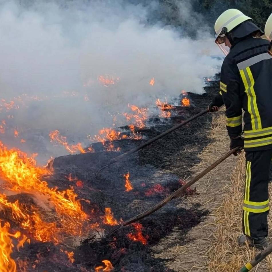 Zweithöchste Warnstufe beim Graslandfeuerindex im Kreis Mettmann: Das heiße Wetter verschärft die Waldbrandgefahr